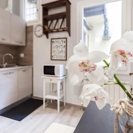 Apartment Duomo Dream Florenz